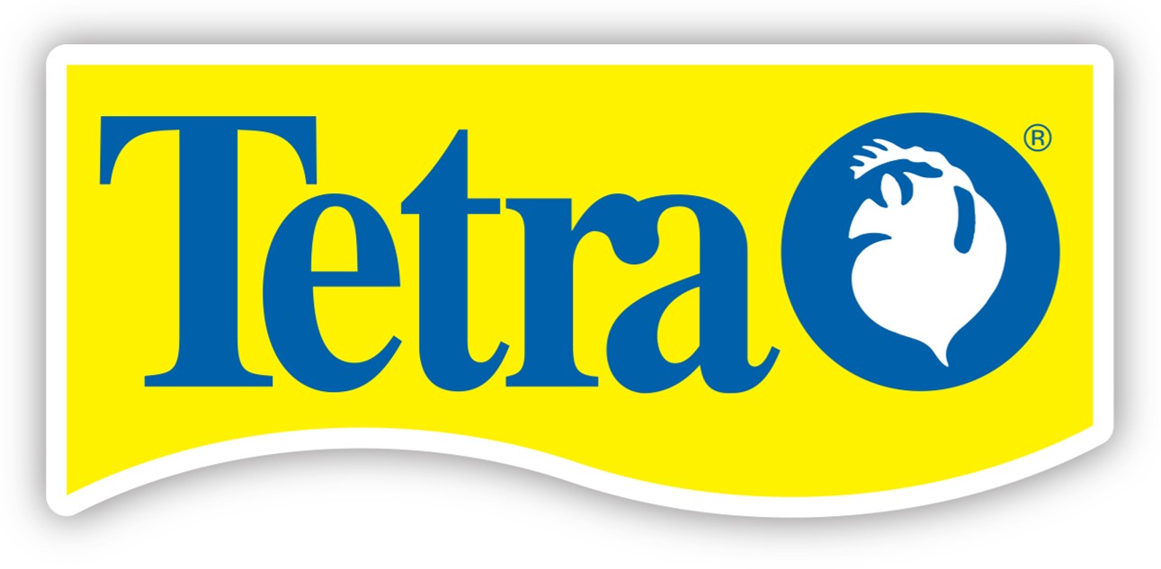 Tetra.jpg