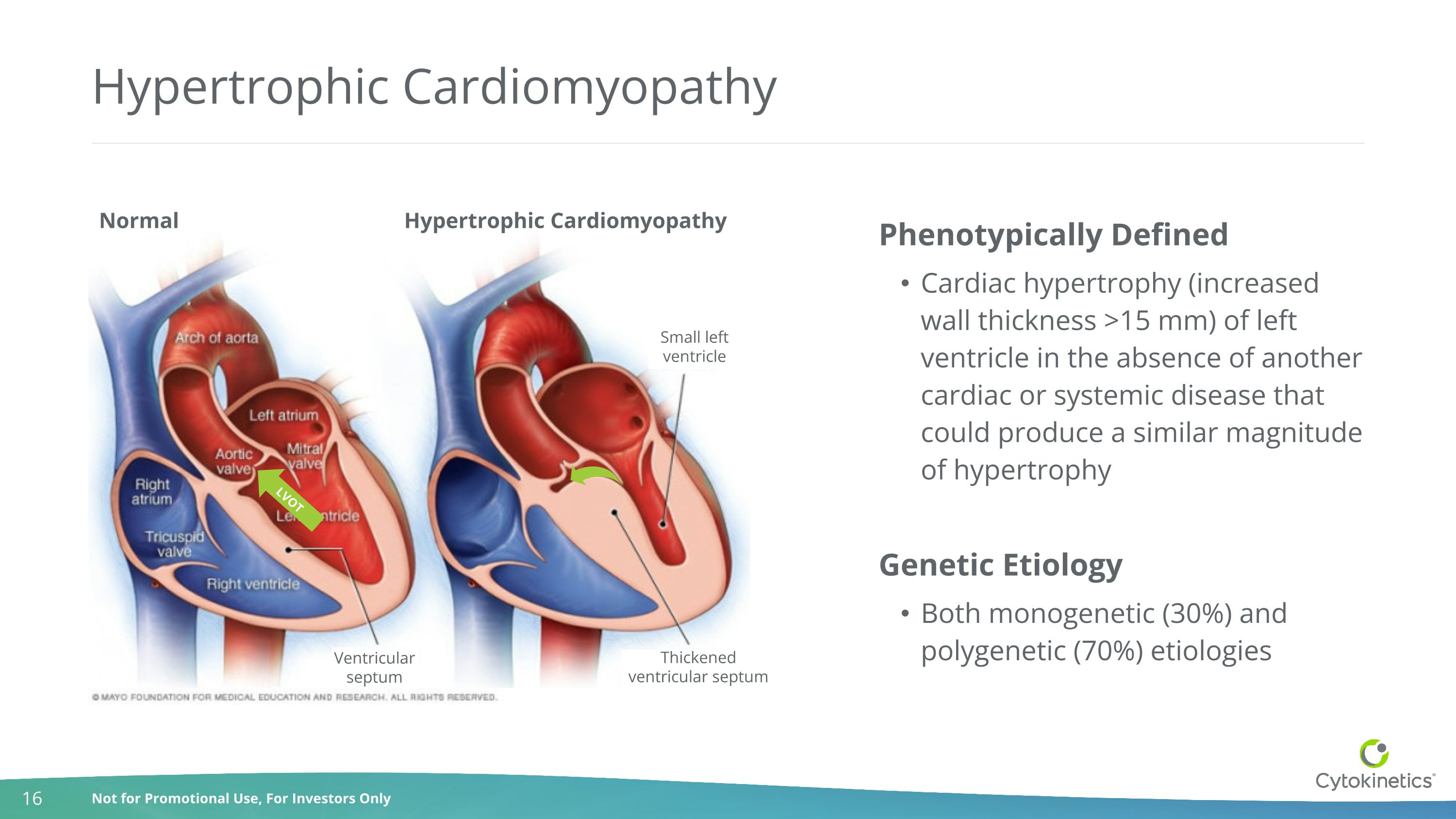 Slide 16