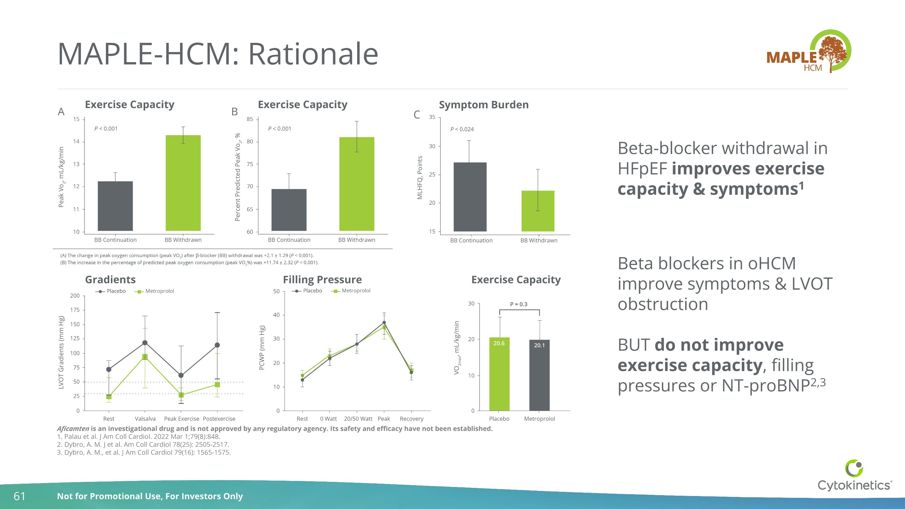 Slide 61