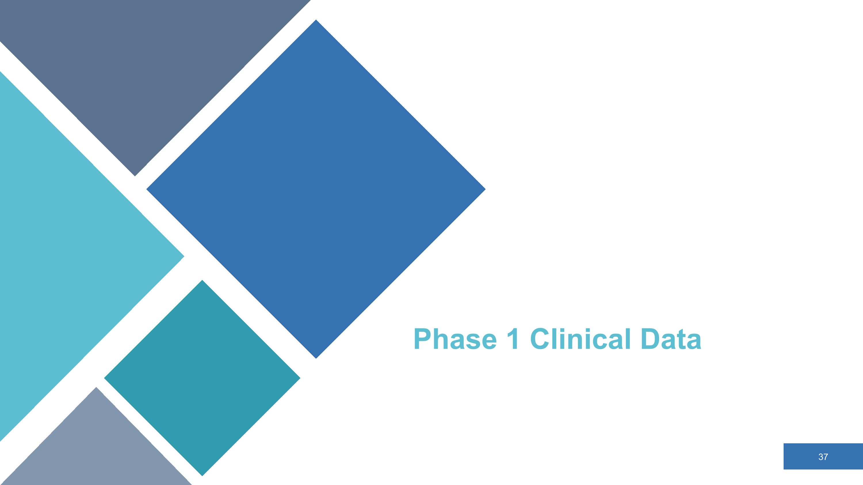 Slide 37