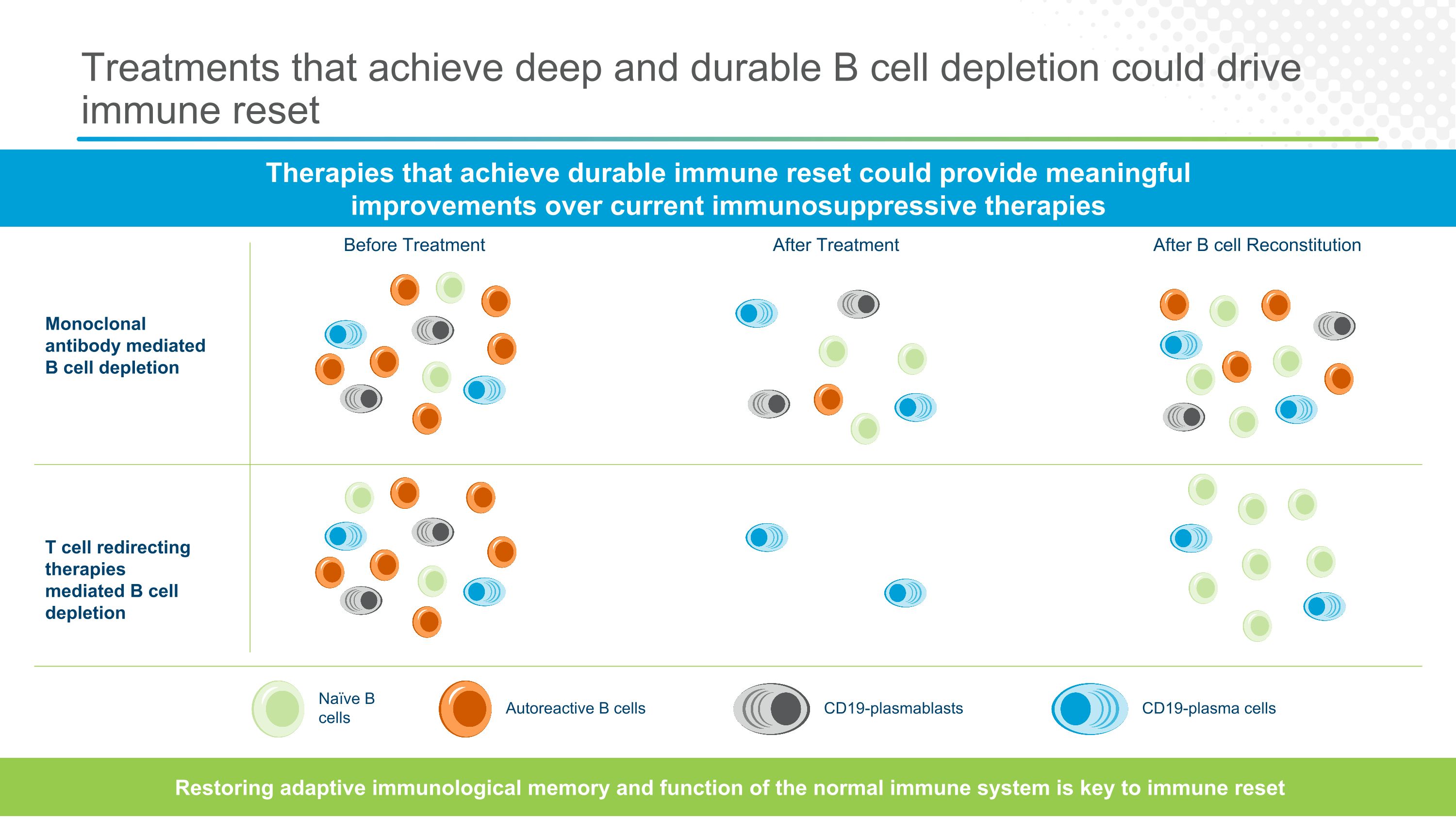 Slide 11