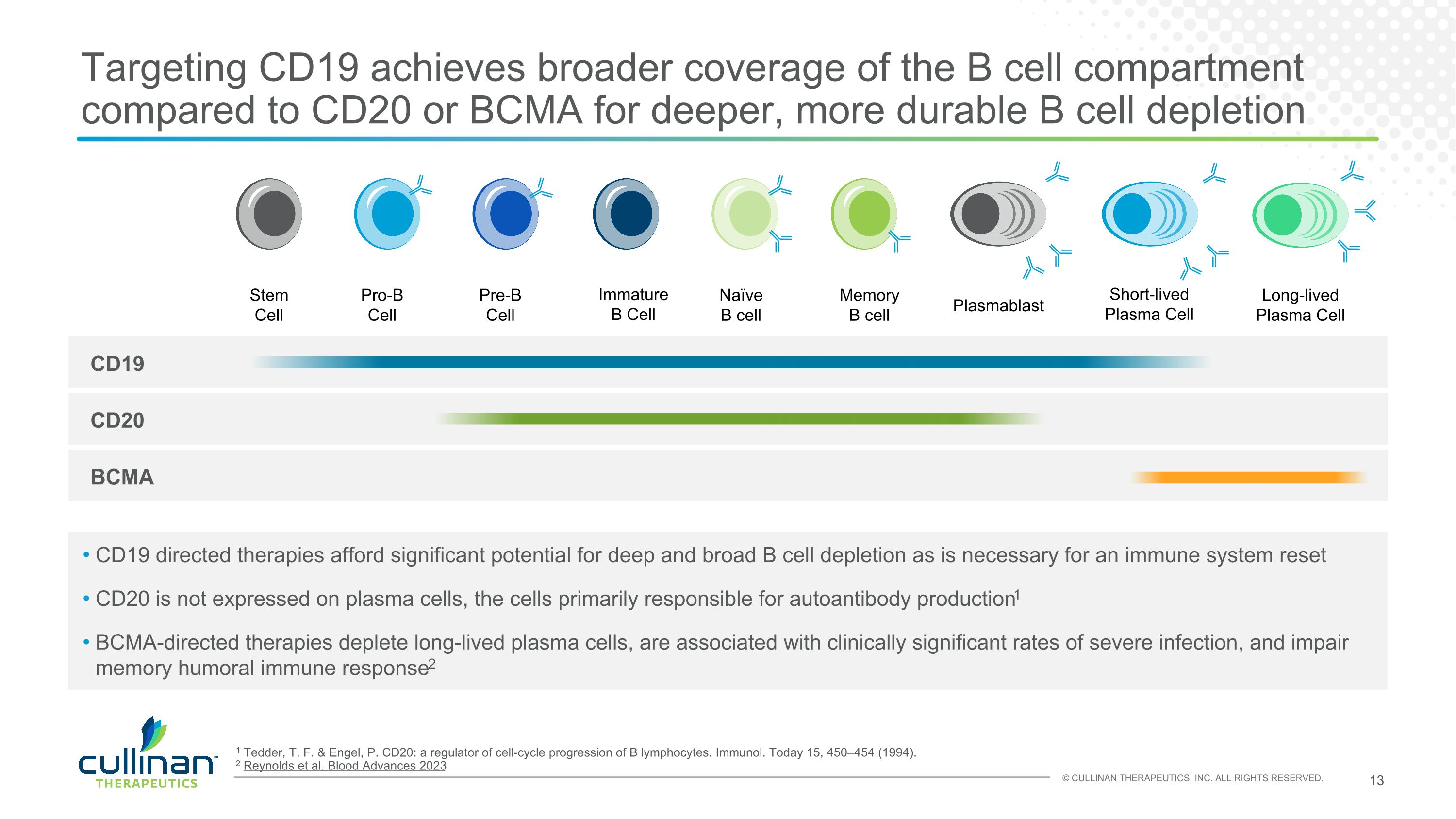 Slide 13