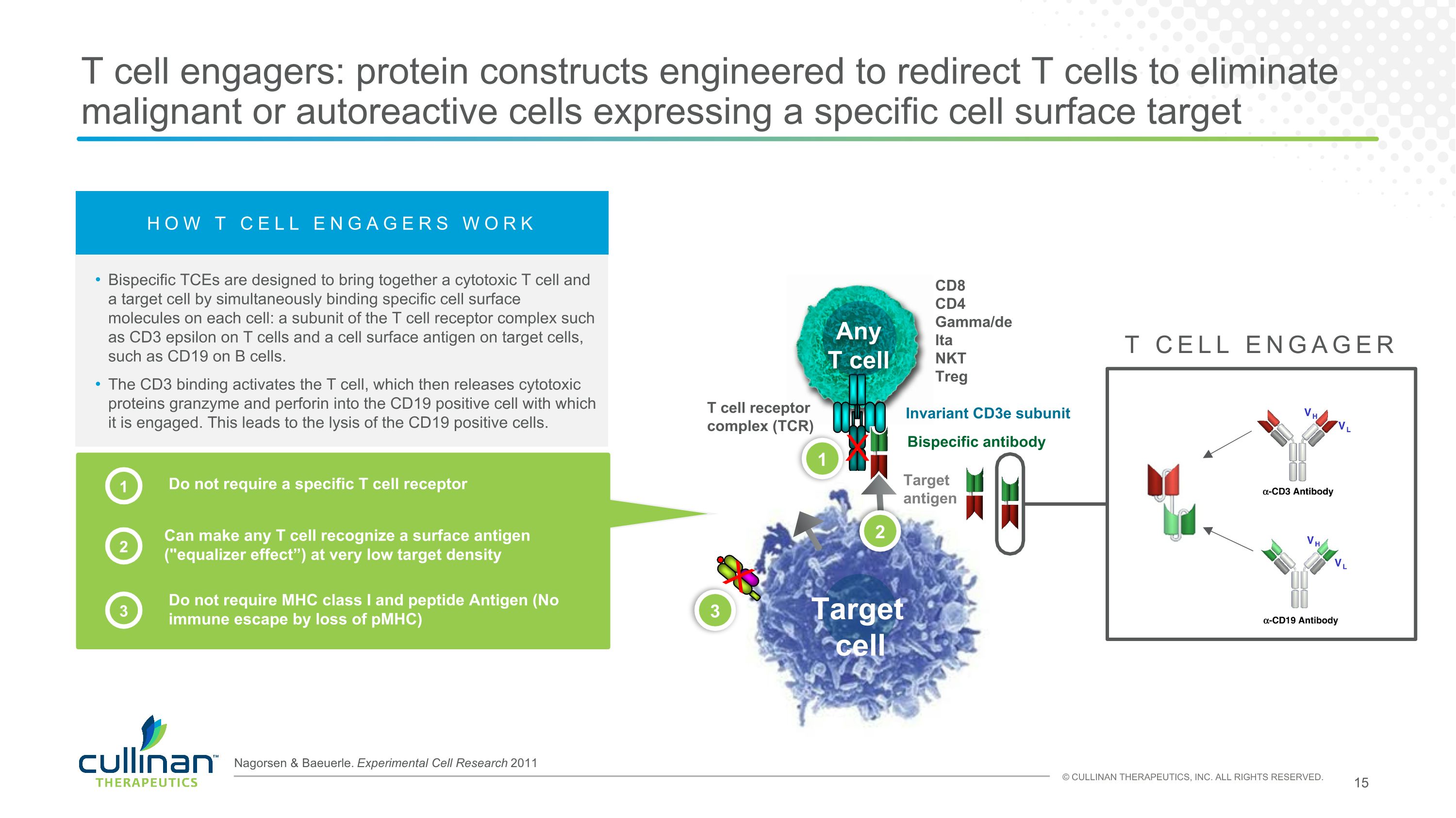 Slide 15