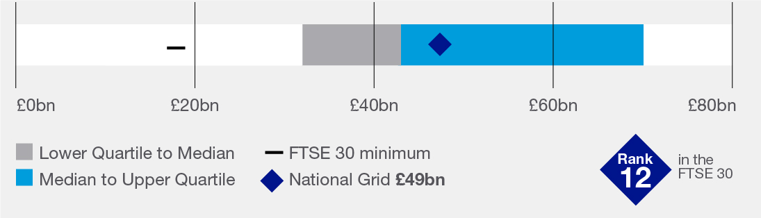 FTSE 30_REM_Charts_Market Cap.jpg