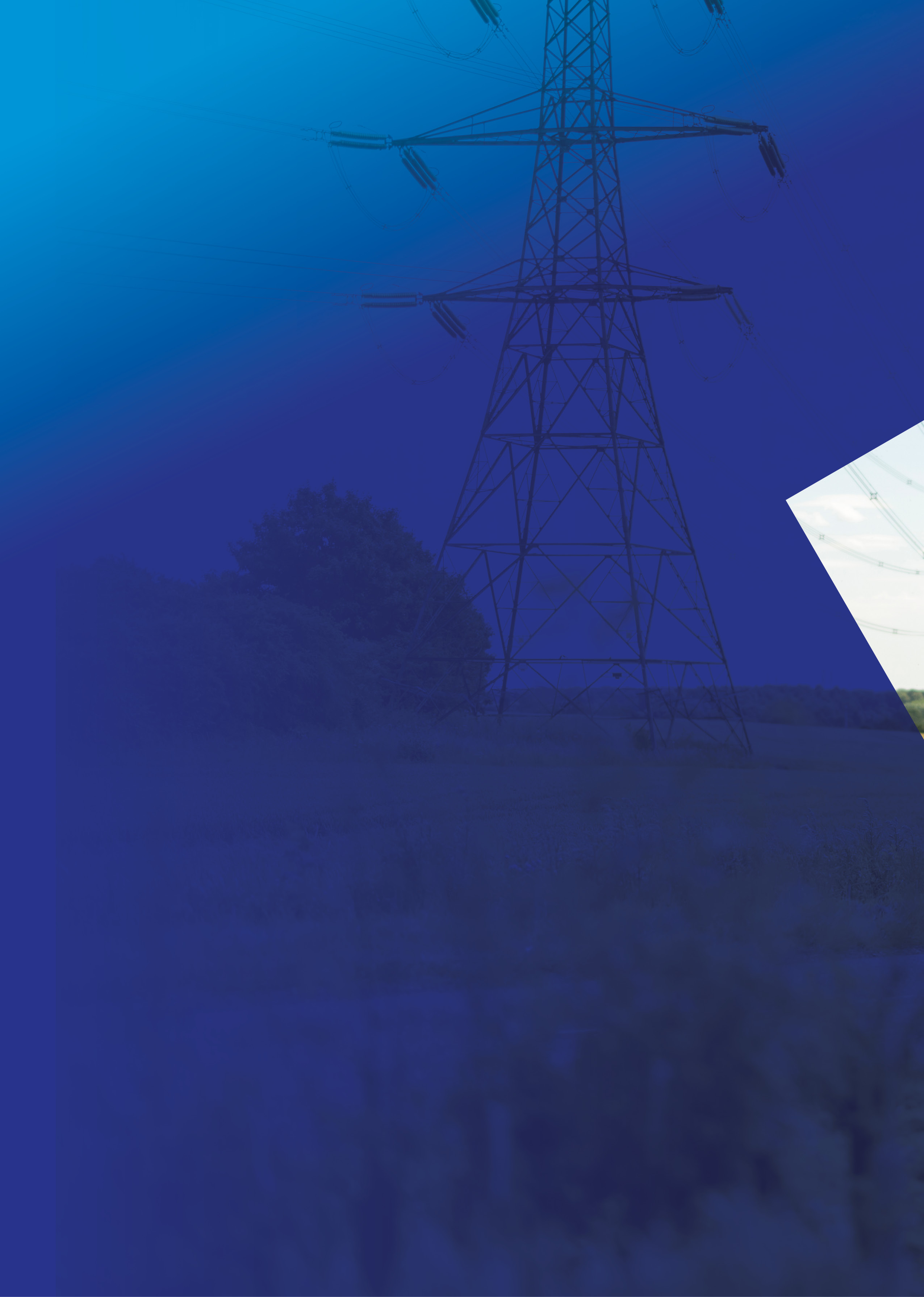 Financial Divider_2may_A.jpg