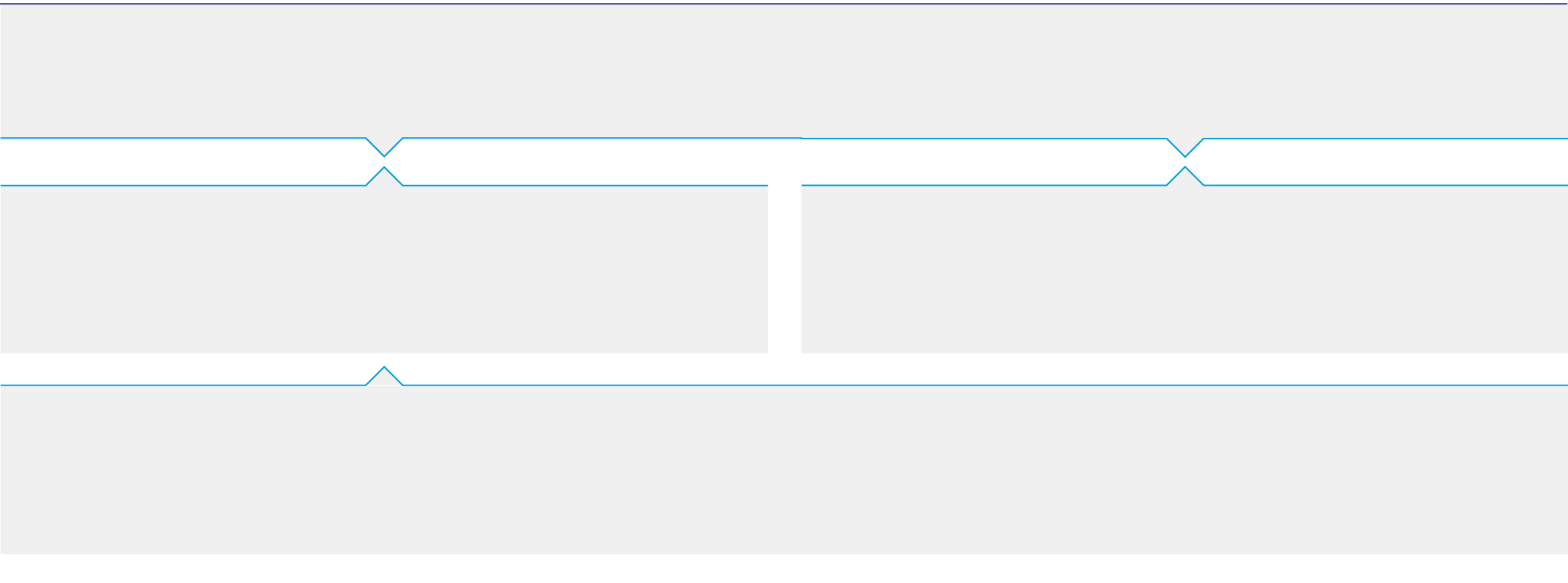 Gov oversight_BG.jpg