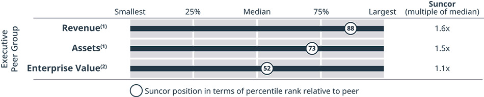 [MISSING IMAGE: bc_peergroup-pn.jpg]