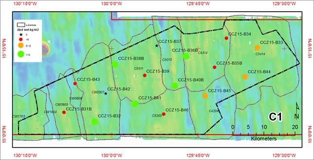 A map with different colored circles

AI-generated content may be incorrect.
