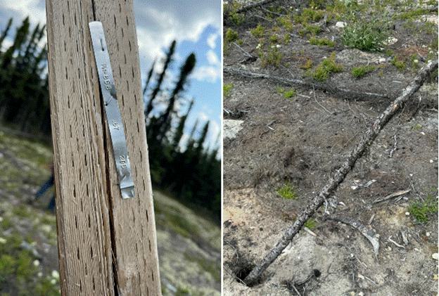 A close up of a wood and a metal object

Description automatically generated