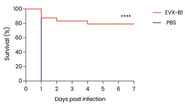 figure7.jpg