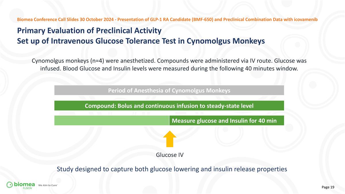 Slide 19