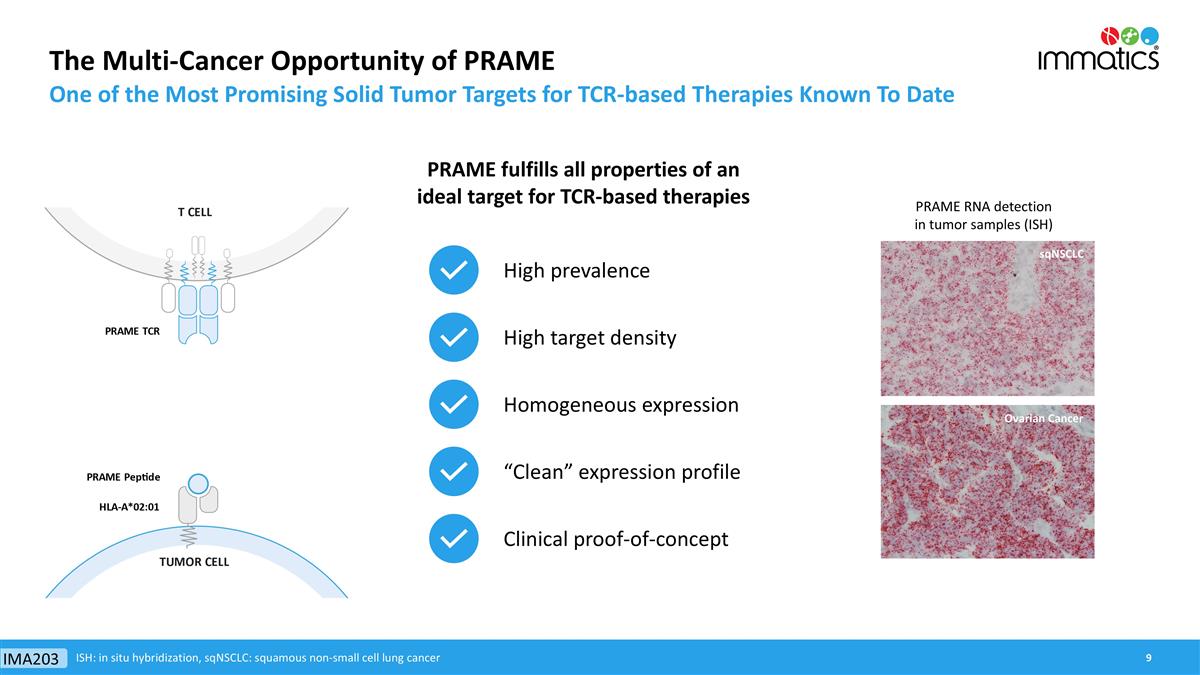 Slide 9