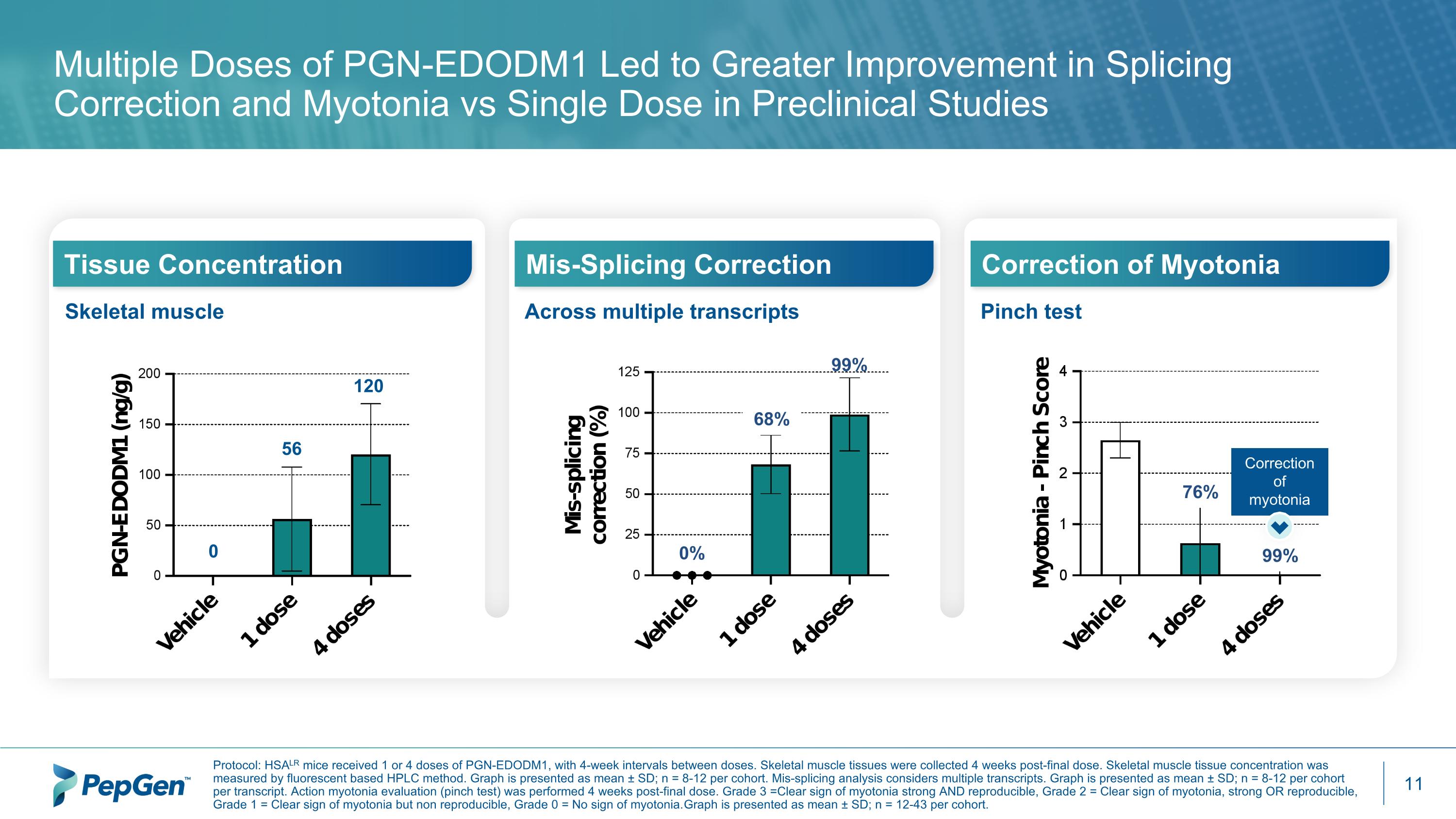 Slide 11