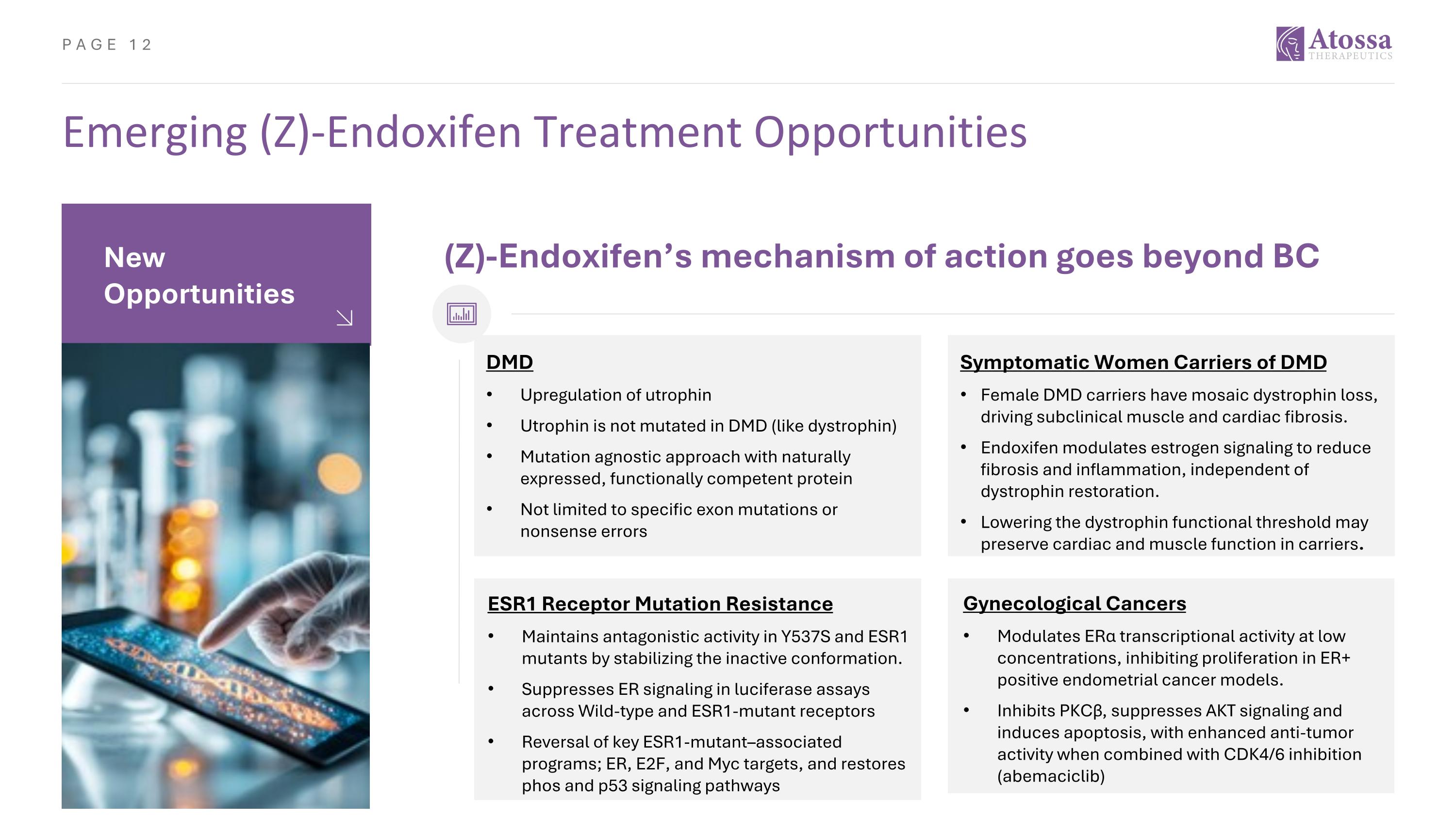 Slide 12