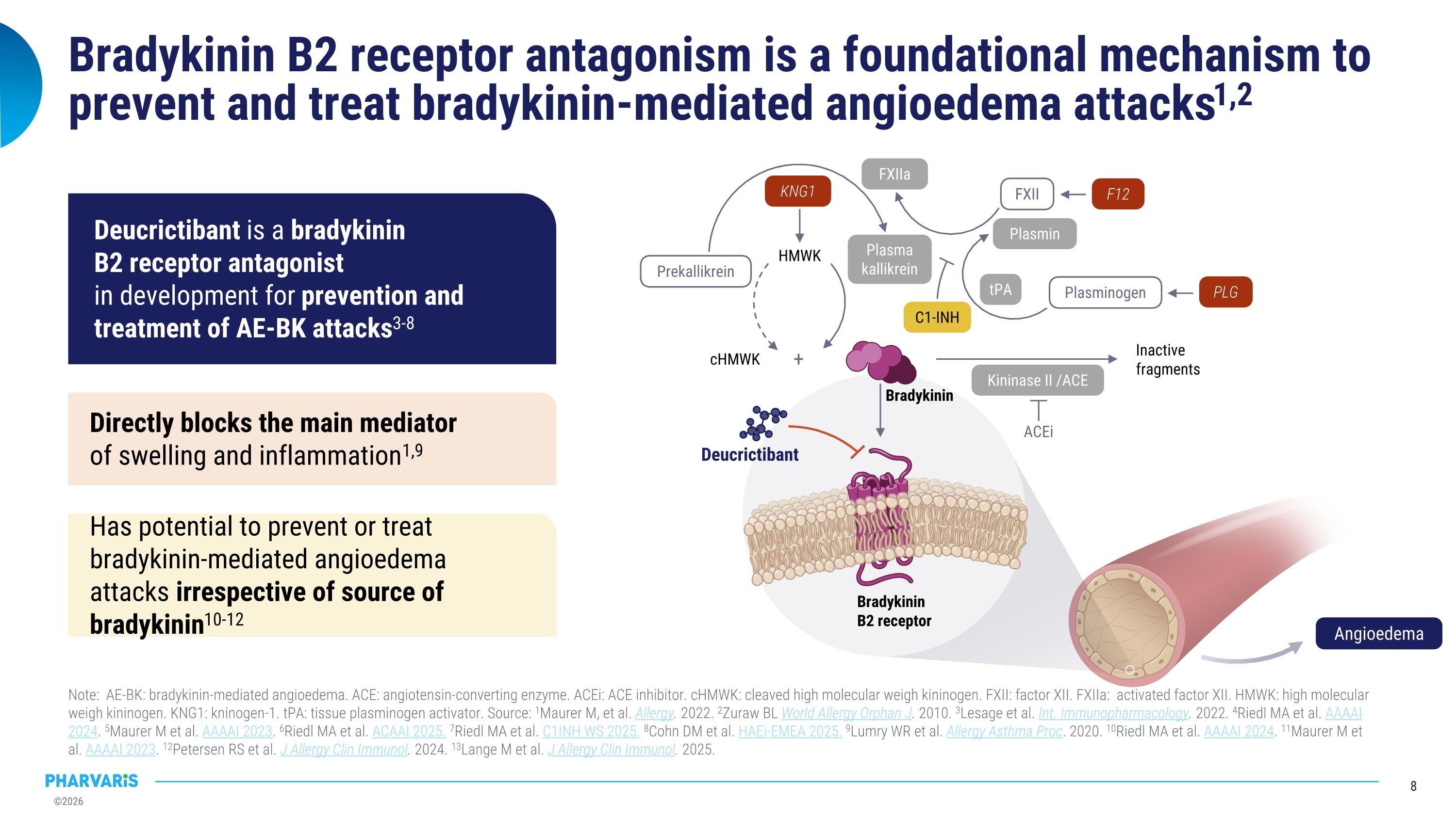 Slide 8