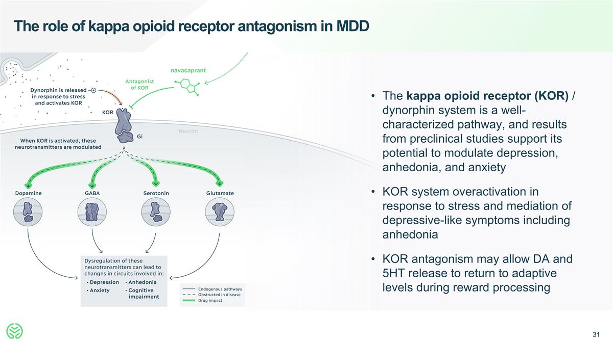Slide 31