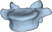 img154968904_4.jpg