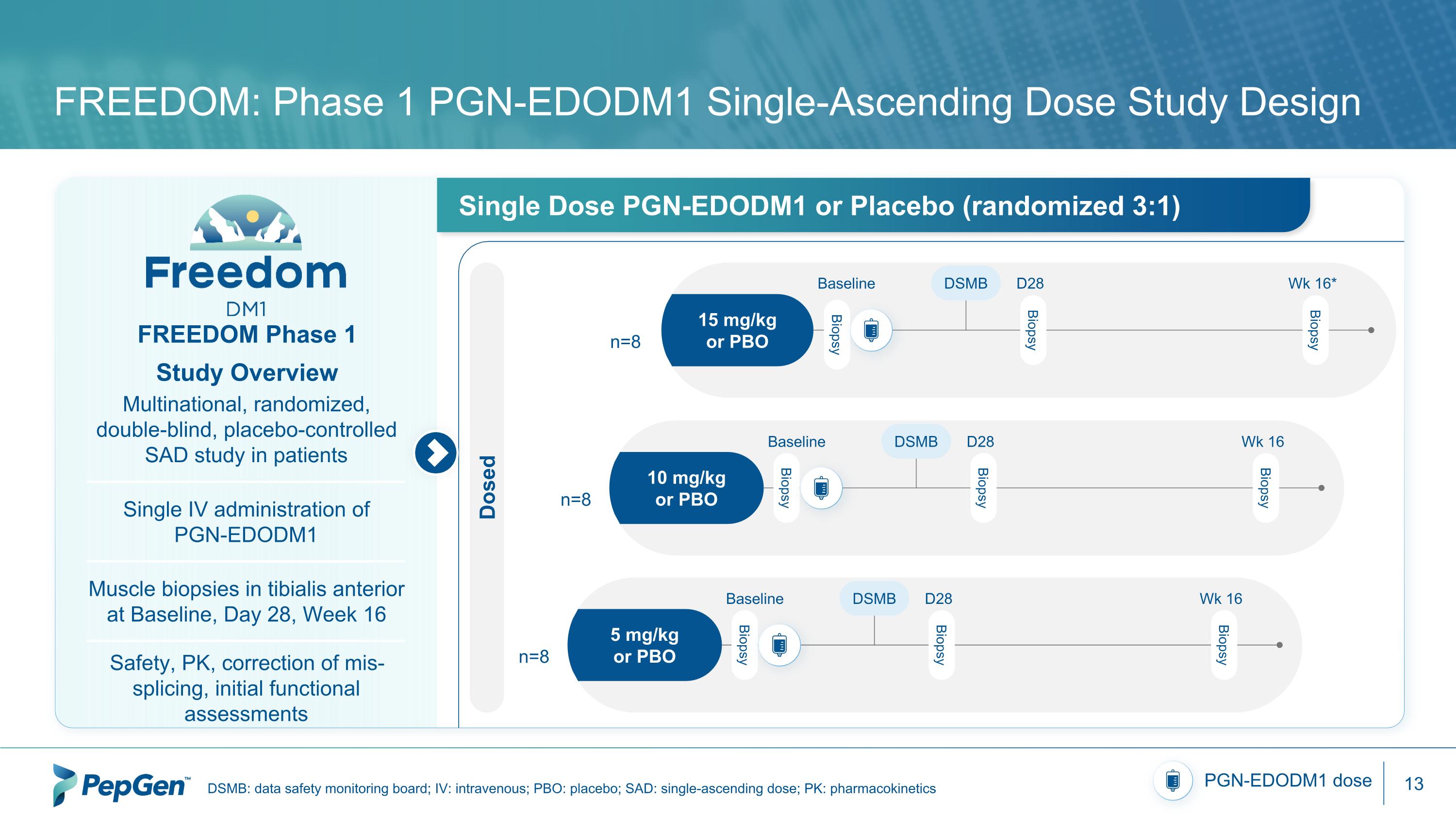 Slide 13
