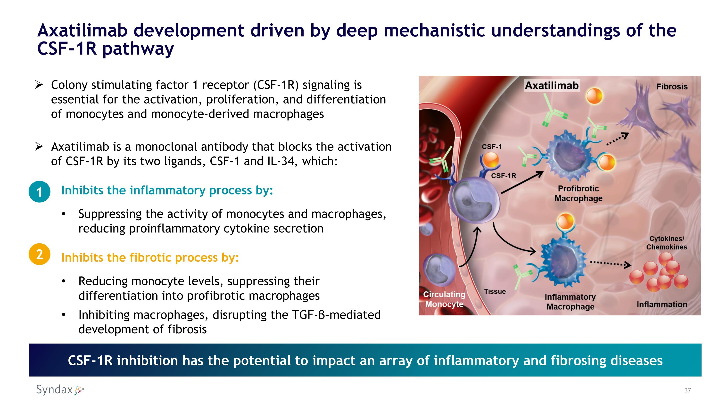 Slide 37