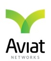aviatlogoa13.jpg