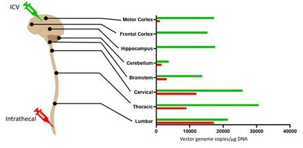 MOA graphic.jpg