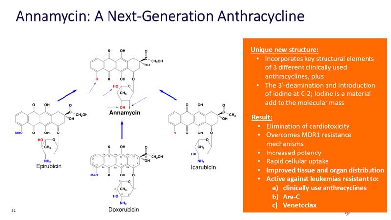 slide31.jpg