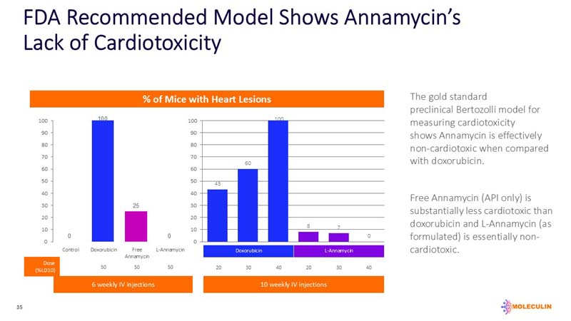 slide35.jpg