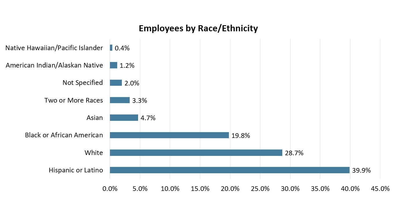 A graph of employees by race and ethnicity

Description automatically generated