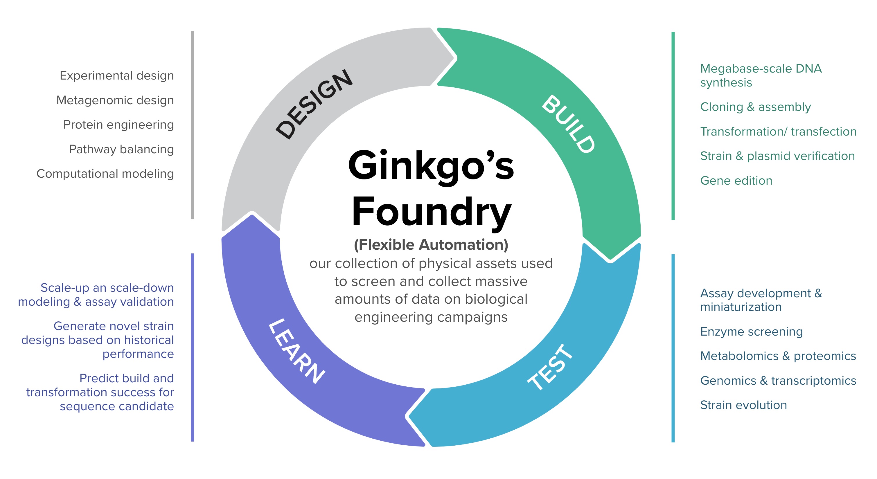 Ginkgo's Foundry (1).jpg