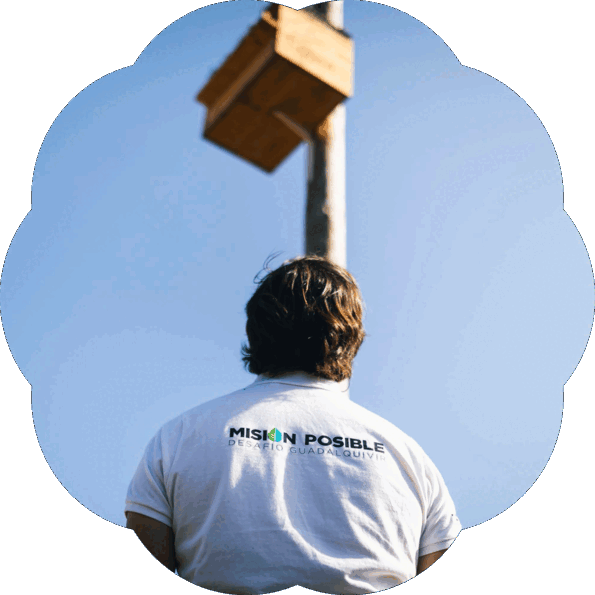 caja-nido-en-fica-jose-regalado-wwf_upscaled_crop.gif