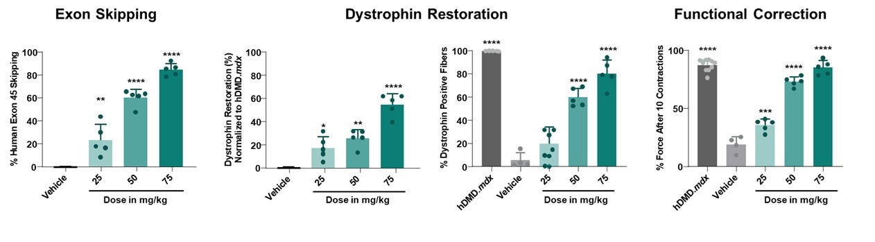 del44 model data 601-45.jpg