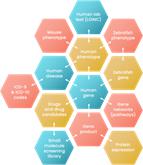 Shape

Description automatically generated