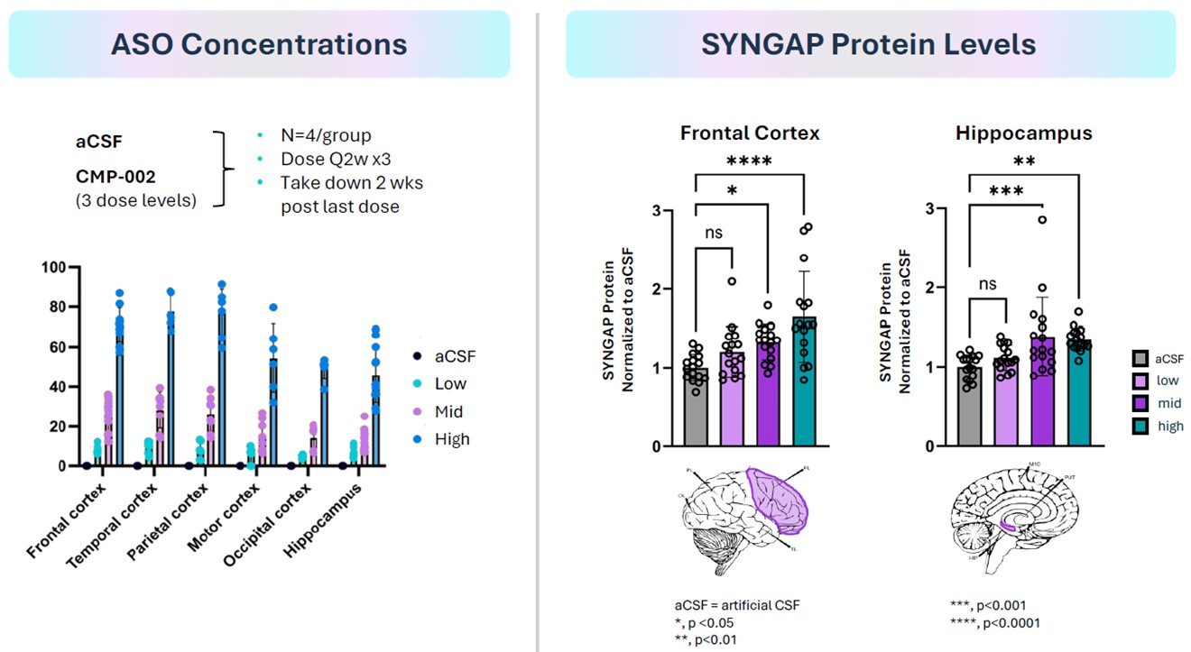 FY 2025 10-K Figure 5.jpg