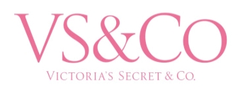 vscologo.jpg